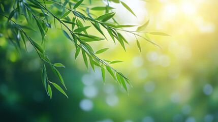 Obraz premium Delicate Willow Branch with Fresh Green Leaves, Soft Sunlight, and Blurred Spring Blossoms, Evoking Serenity and Renewal