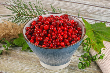 Natural organic wild forwst lingonberry