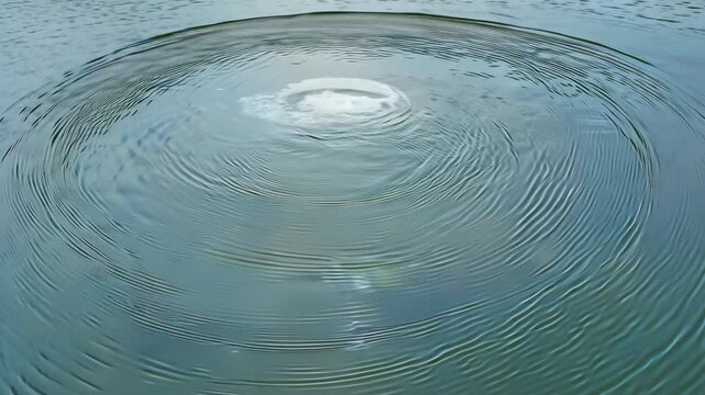 Rippling Water Surface With Circles In Calm Water Under Soft Overcast Sky Without Defects Or