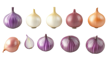 Variety of onions displayed together showcasing different colors and shapes in a well-lit kitchen setting