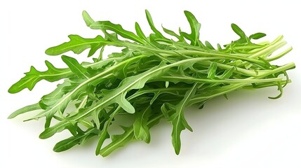 Freshly Harvested Arugula Leaves Displayed on a White Background for Culinary Use