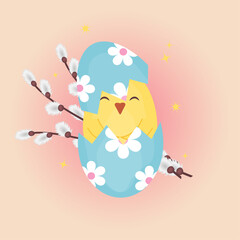 Yellow chick in an eggshell and willow branches. Blue painted Easter egg on a pink background. Vector illustration. Greeting card invitation. Print for a gift bag. Square flyer with an ornament.