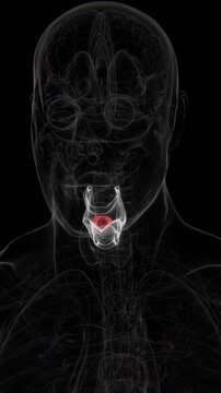 Throat Cancer Cell in Vertical HQ Video | Pharyngeal Cancer Cell Indication X-Ray Video
