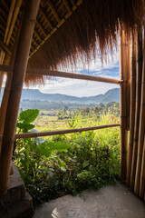 Bali natural elements experience