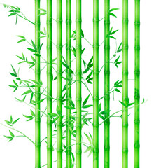 3d rendering green bamboo plant