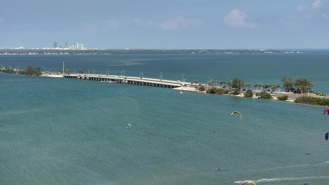 Tampa Bay pan bird and water sporters in Florida