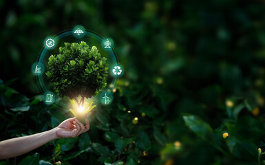 .Hand holding a green tree with icons of energy sources for renewable, Sustainable developmen,...