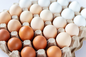 Fresh chicken eggs arranged in order from lightest to darkest in a cardboard tray on a white background.