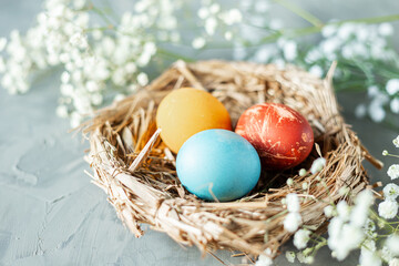 Colored chicken eggs in a nest of dry grass with feathers and gypsophila branches on a light blue background.