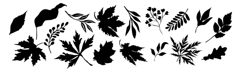 Set of black silhouettes of autumn leaves and branches. Fall maple, oak leaves, twigs. Vector Black outline illustrations isolated 