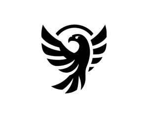 Eagle bird logo design icon symbol vector illustration. Eagle silhouette icon logo vector template.