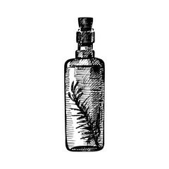 Hand drawn sketch olive oil bottle. Vector illustration
