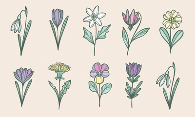 Colorful tiny flower illustrations, vector flower doodles, hand drawn spring plants set