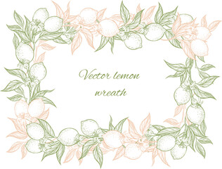 Vector rectangle wreath of doodle lemon branches template for design. Geometric shape frame.