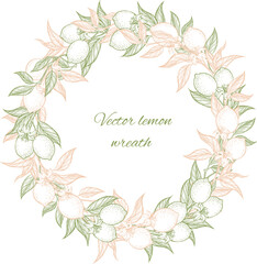 Wreath of doodle lemon branches template for design. Floral vector border.