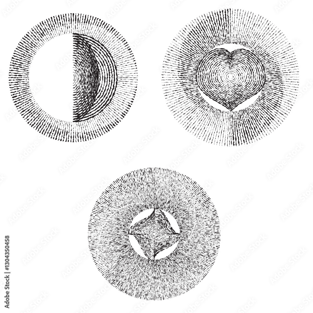 Poster rough lines in circle form . rotate rounded shape vector illustration .rotating circles form a ring.