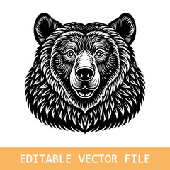 illustration of a bear
