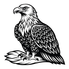Fototapeta premium silhouette Eagle vector black and white 