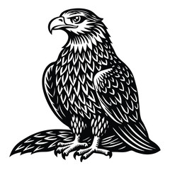 Obraz premium silhouette Eagle vector black and white 