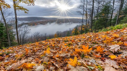 Breathtaking Autumn Landscape with Colorful Leaves at Sunrise Over Foggy Valley