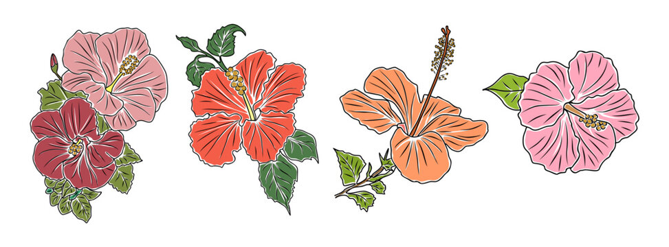 Set of Hibiscus flowers colorful vector botanical illustrations. Tropical blooms with leaves hand drawn outline collection isolated on white background. Modern design for logo, tattoo, wall art.