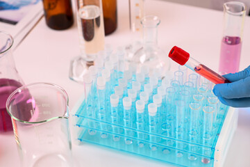 Gloved hand holding test tube containing red liquid over rack of test tubes in a laboratory setting