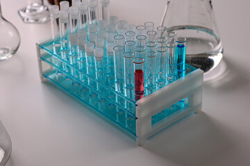 Test tubes containing blue and red liquid in a laboratory setting are conducting an experiment