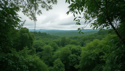 Obraz premium Pine Tree on a Mountain Overlook
