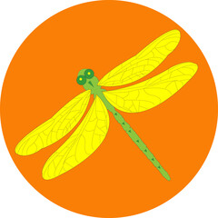 Yellow dragonfly placed on orange circle. Vector illustration.
