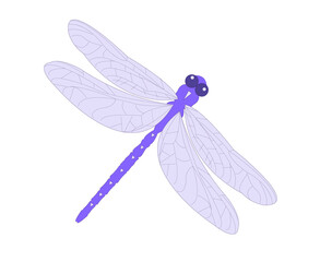 Lilac dragonfly on a white background. Vector illustration.