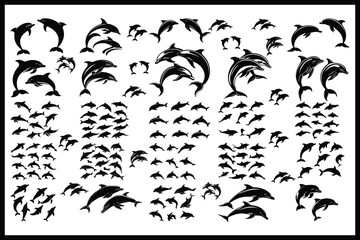 Graceful Dolphins: The Elegance of Underwater Ballet
