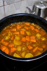 Cooking japanese chicken curry, homemade food.