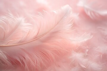 A monochromatic blush pink background with a feather-light gradient.