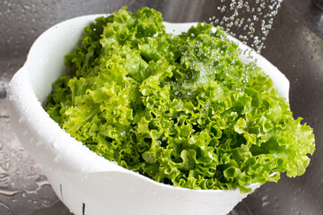 Fresh lettuce rinsed with water in the white colander