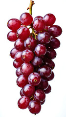 Fototapeta premium Red grapes isolated on white background, copy space