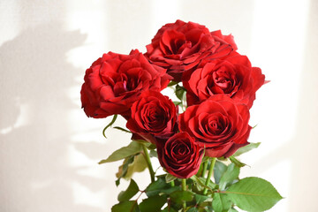 赤い薔薇
