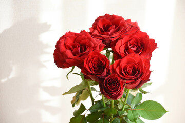 赤い薔薇