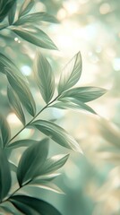 Fototapeta premium close-up image of light green leaves blowing in the wind