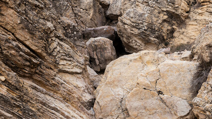 rock texture with close up shoot