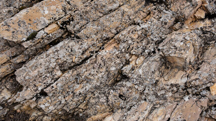 rock texture with close up shoot
