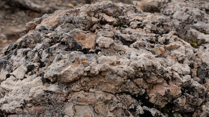rock texture with close up shoot