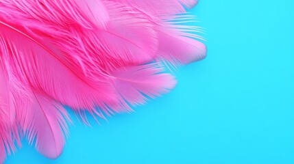 Obraz premium Pink Feathers on Blue Background - Close-up of soft pink feathers arranged on a vibrant blue background, perfect for design projects needing a touch of elegance and softness