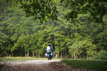 Fototapeta premium Motorcycle rider on the road in the forest