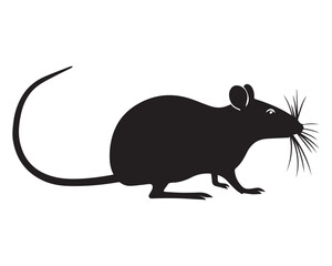 Rat vector Design
