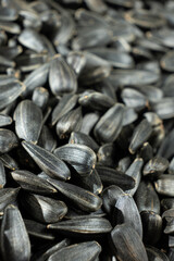 Macro Black Unpeeled Sunflower Seeds