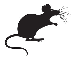 Rat vector Design
