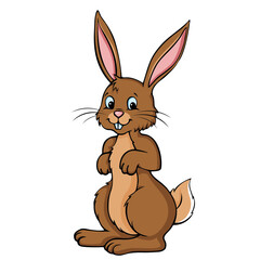 Easterrabbit Coloration