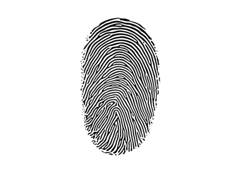 silhouette made from fingerprint pattern