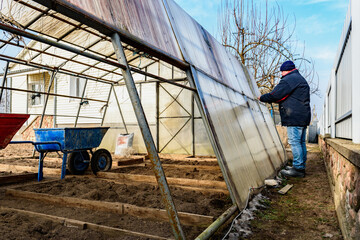 Man inspects old greenhouse for renovation on a spring day, greenhouse repair. Removal old polycarbonate using electric screwdriver.