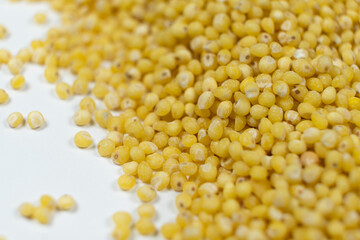 Uncooked organic raw millet grains close-up background